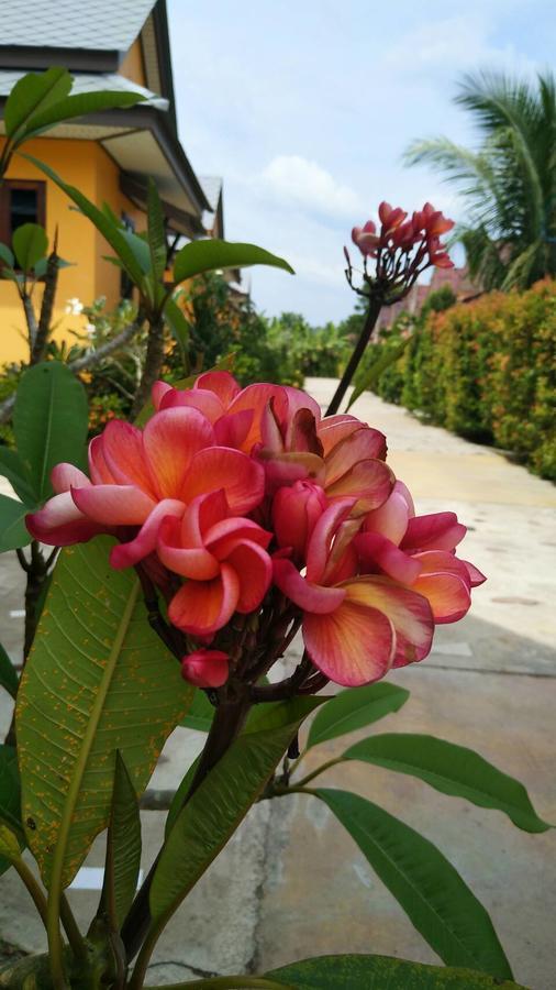 Baan Mek Lom Hotel Khao Lak Ngoại thất bức ảnh